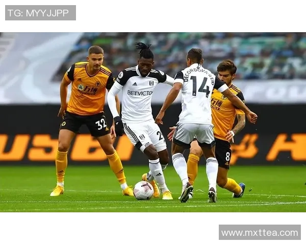 2019年5月4日狼队与富勒姆激战回顾精彩瞬间与赛后分析