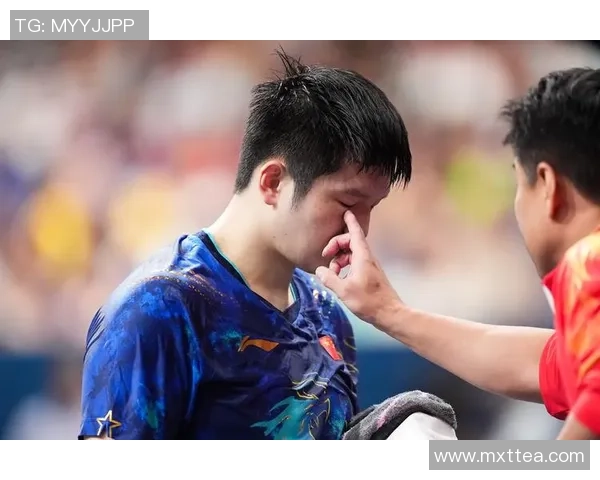 2020年地表乒乓球对决樊振东与周启豪的精彩较量与赛场背后的故事